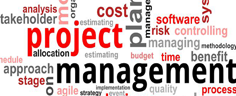 Project Management Consulting Services